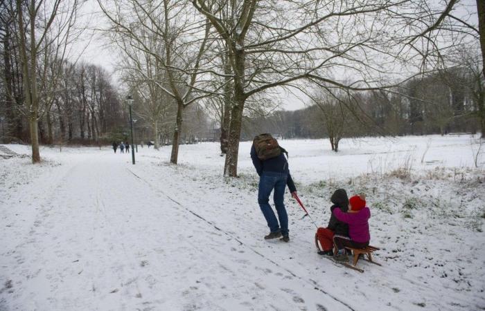 Codice giallo per strade scivolose durante la prima offensiva invernale: rovesci di neve e fino a cinque centimetri di tappeto invernale