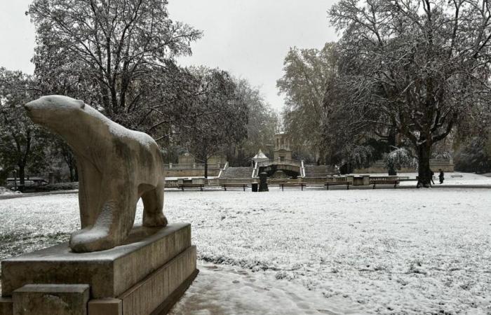 IN FOTO – Le nostre foto più belle della neve in Côte-d’Or e Saône-et-Loire