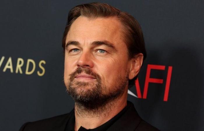 “È davvero un…”, molto franco Leonardo DiCaprio dopo il loro incontro