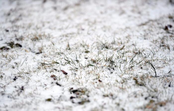 Le ultime previsioni sulle tempeste mostrano che a Siracusa potrebbe arrivare la prima neve della stagione