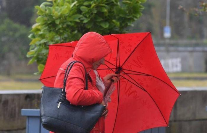 Tempesta Caetano. Raffiche di vento fino a 110 km/h: Maine-et-Loire in allerta