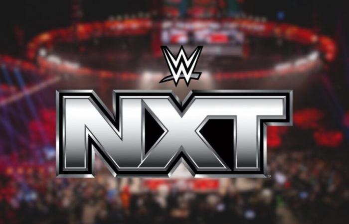 La top star della WWE è aperta al ritorno a NXT: “Mi renderei disponibile”