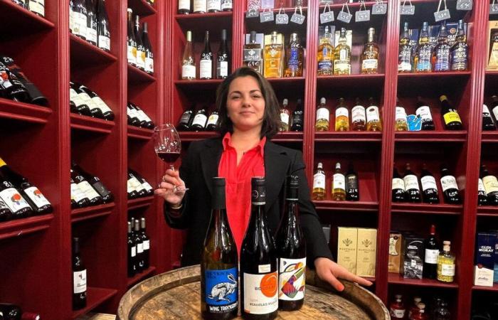 Gusto della banana, prezzo, invecchiamento: cinque domande non così stupide sul Beaujolais Nouveau, in uscita questo giovedì (video)