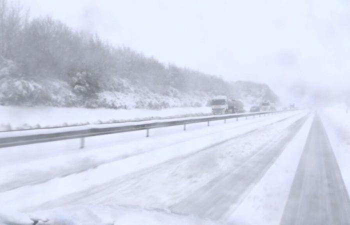 automobilisti bloccati per diverse ore sulla A84 nella Manica