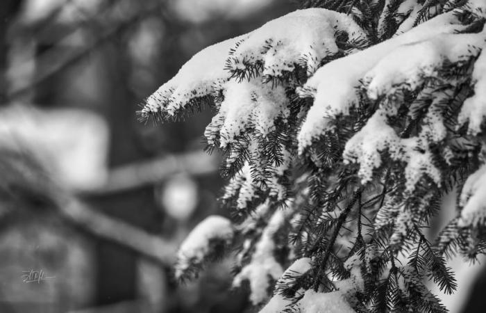 Variazione quota nell'accumulo di neve tra giovedì notte e venerdì mattina