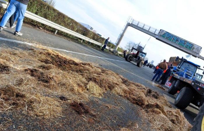 Paralizzata l'autostrada A43, i settori interessati