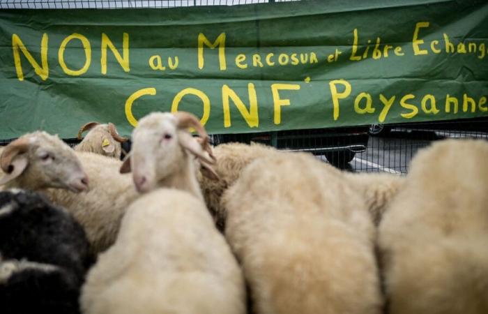 il ministro dell'Agricoltura atteso in una fattoria del Pas-de-Calais