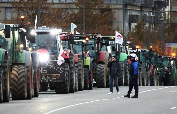 In diretta – La rabbia degli agricoltori: la ministra Annie Genevard presenta sul campo, il coordinamento rurale ancora mobilitato