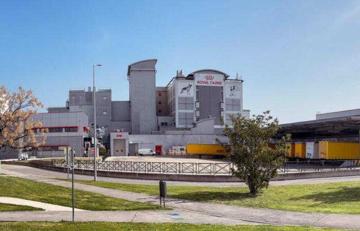 ESCLUSIVO Piano di Protezione del Lavoro (PSE) presso Royal Canin ad Aimargues