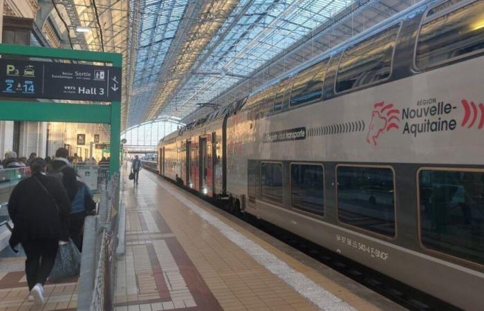 Venti forti: la SNCF interrompe alcune linee dei treni TER in Nuova Aquitania questo giovedì