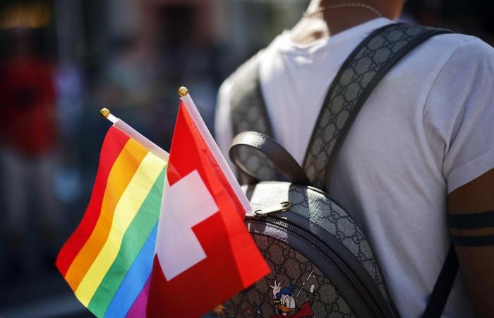 Svizzera: una persona LGBT su 3 afferma di aver subito violenza