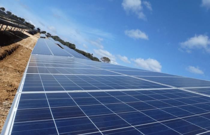 costruzione di un mega impianto fotovoltaico su 48 ettari a Tavel