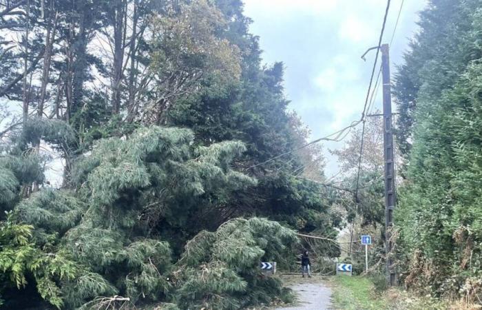 Tempesta Caetano. Nella Loira Atlantica, 40.000 case sono prive di elettricità