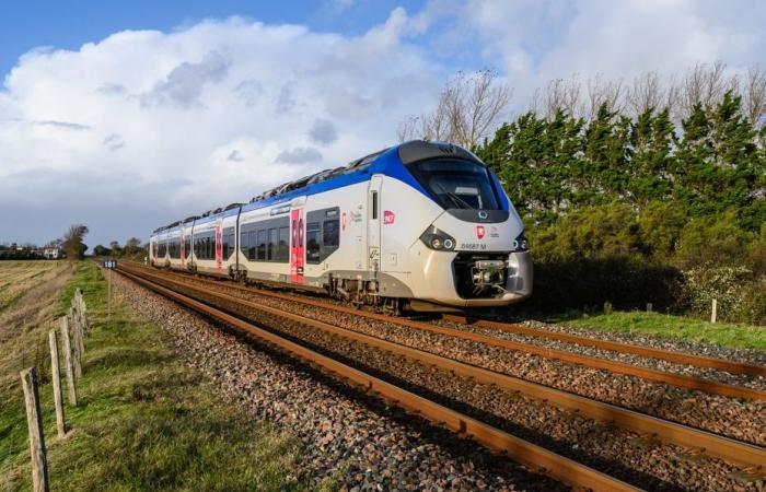 Traffico SNCF interrotto tra Poitiers e La Rochelle dopo un incidente a Deux-Sèvres