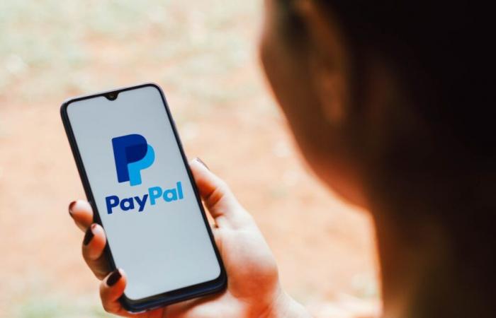 Paypal inattivo perché migliaia di clienti non riescono ad accedere ai conti