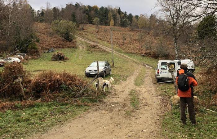 RAPPORTO. Scomparsa di Fadila: “Forse è caduta mentre cercava di scappare…” I parenti hanno condotto la caccia all'ultima possibilità