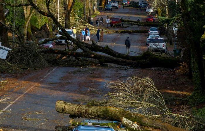 Il ciclone di bombe uccide 2 persone, interrompe l’elettricità a Washington e Seattle mentre una nuova minaccia arriva per la costa occidentale