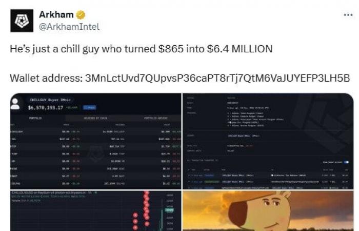 Chill Guy (CHILLGUY): cos’è questo memecoin virale di Tik Tok di cui parla anche Nayib Bukele?