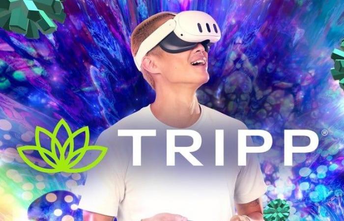 Meta Quest 3: ecco 5 cose da fare con il visore VR al di fuori dei videogiochi