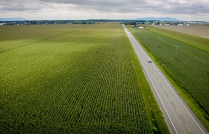 Saint-Hyacinthe autorizzato a sviluppare la strada di accesso