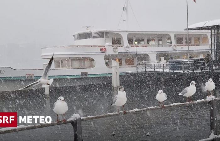 Neve fino in pianura – La Svizzera in inverno – Meteo