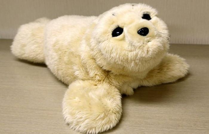 Un uomo rischia la giustizia per aver venduto animali di peluche pericolosi