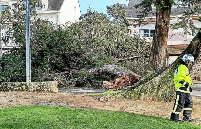 Inondazioni, alberi sradicati, linee elettriche strappate… La tempesta provoca molti danni a Carnac