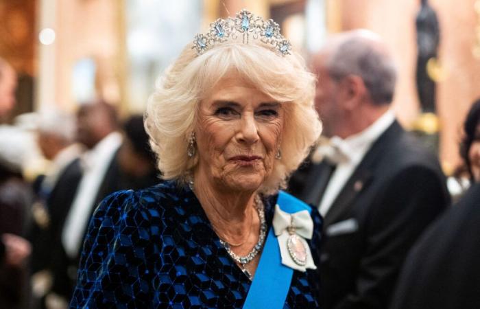 Camilla Parker Bowles: dopo la malattia, riappare la moglie di Carlo III e mette tutti d'accordo