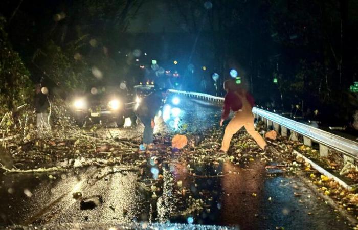 Ciclone bomba: quanto è aumentata la velocità del vento a Portland, Oregon?