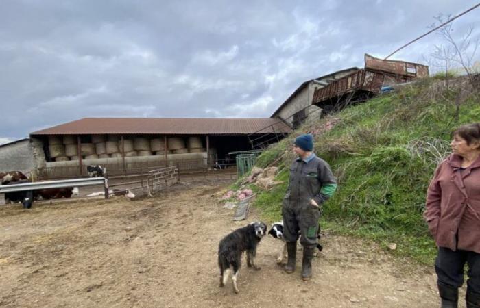 Alta Loira. In questa fattoria di Rosières, “sono sei mesi che non ci paghiamo lo stipendio”