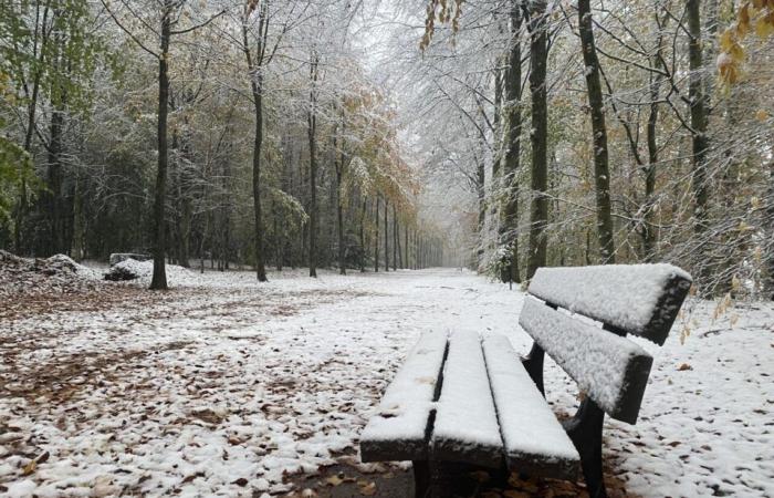 NELLE IMMAGINI. Il paese di Flers si risveglia sotto la neve: un decoro natalizio