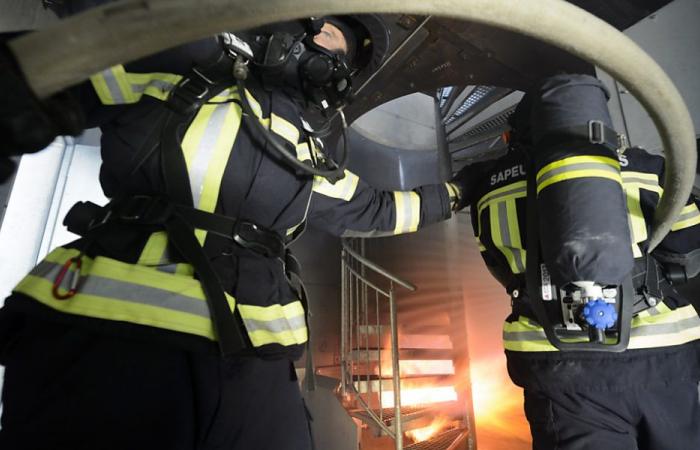 L’incendio in un centro di recupero a Etoy è contenuto