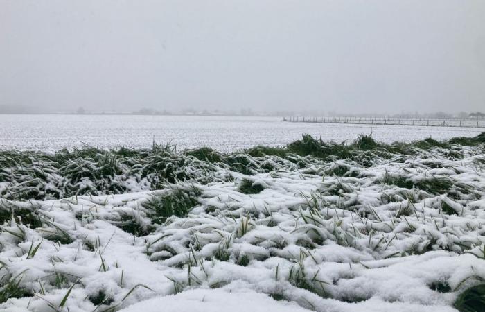 3 domande a Nicolas Buffard, esperto di Météo-France