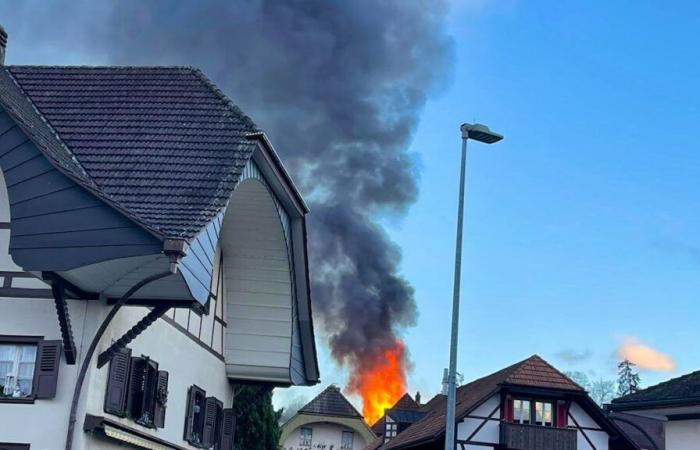 La piccola fattoria di John in fiamme: speculazioni selvagge sulla causa