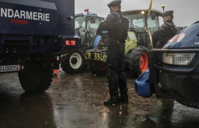 Agricoltori: annunciato lo sblocco del porto di Bordeaux dopo gli annunci del governo: Notizie