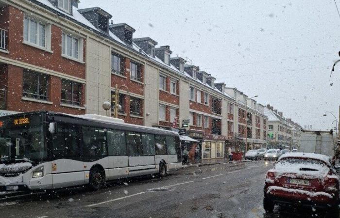 25 cm in alcuni punti, trasporti scolastici fermi…