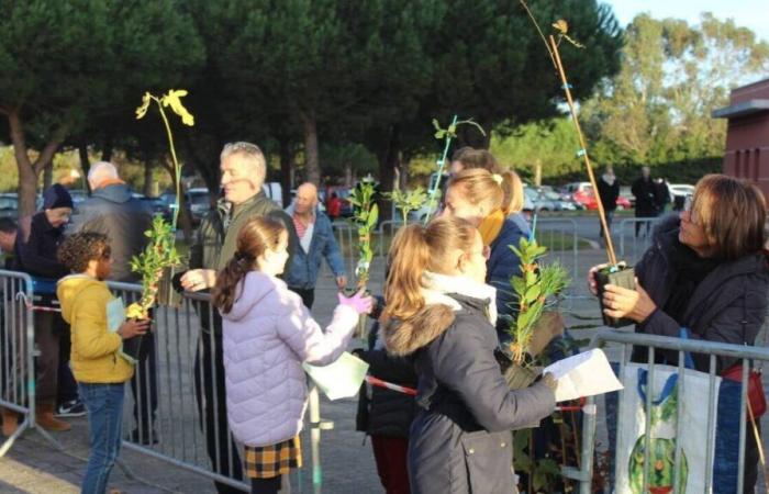 Distribuiamo piantine di alberi e compost in questo comune della Loira Atlantica