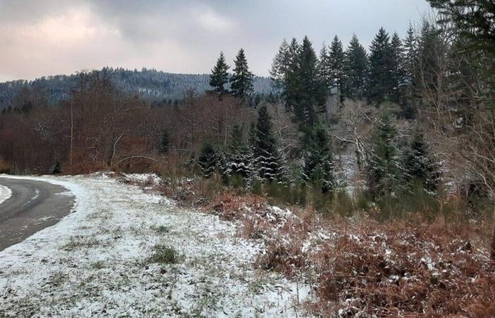 Tempesta Caetano: la Creuse si sveglia sotto un sottile velo di neve questo venerdì mattina