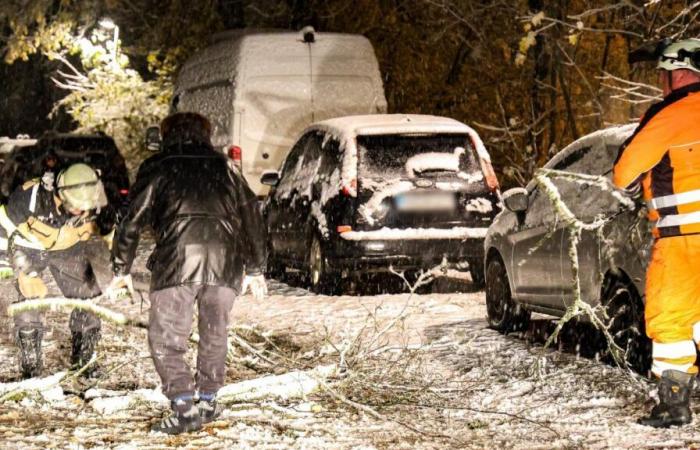 “Pericolo per la vita e l’incolumità” – Il servizio meteorologico tedesco avverte di tempeste di neve