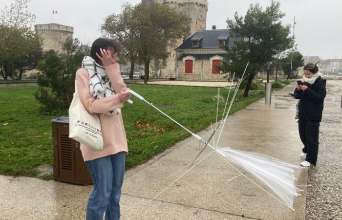 Tempesta Caetano: 130 km/h nella Charente-Maritime e migliaia di case prive di elettricità nelle due Charentes