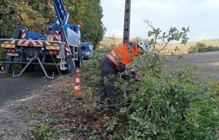 Allarme giallo in Dordogna: quasi 14.000 case prive di elettricità, diversi alberi caduti sulle strade