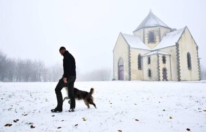 NELLE IMMAGINI. Scoprite le nostre 10 foto della Côtes-d'Armor sotto la neve questo giovedì mattina