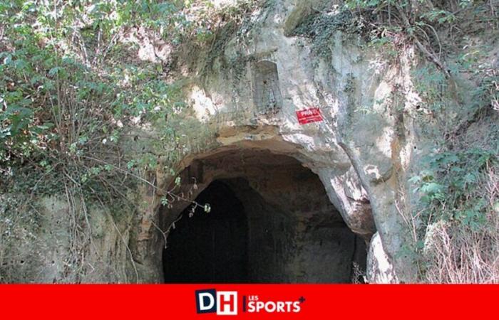 Un Bassengeois blocca l’ingresso alla grotta di Trou Loulou: “Rischia di impedire l’ibernazione di una colonia di 750 pipistrelli”