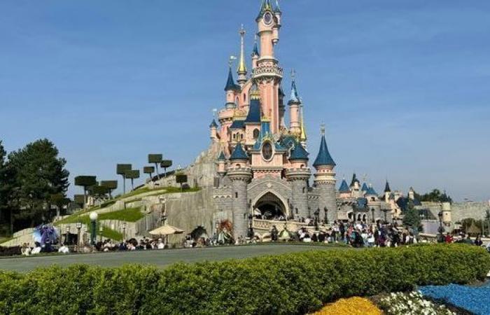 Disneyland Paris: quale impatto sulla dinamica dei prezzi attuata dal parco divertimenti?