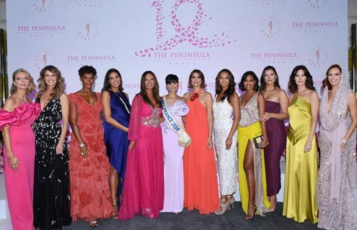 Una figura di Miss Francia incinta del suo calciatore, bellissimo annuncio in immagini!