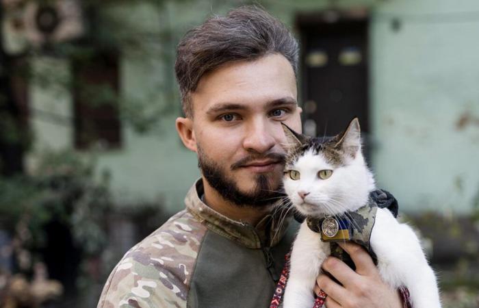 In Ucraina, cani e gatti sono fedeli compagni d'armi