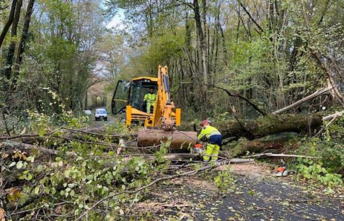 Alberi sulla strada nella limousine della Charente, 4160 case prive di elettricità, la tempesta Caetano non risparmia la Charente