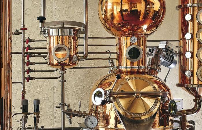 le distillerie stanno facendo il loro grande ritorno nella capitale