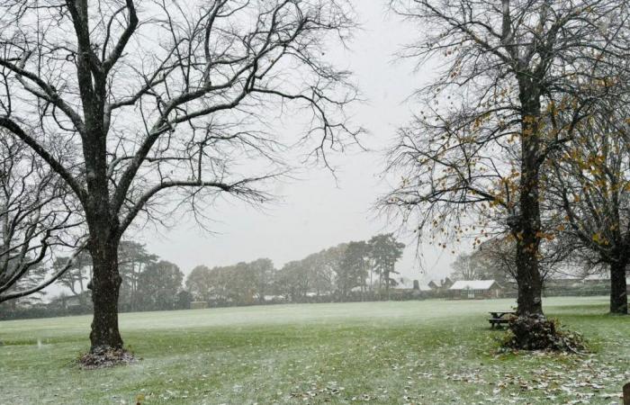 Un’infarinatura di neve colpisce l’Hampshire mentre viene emessa l’allerta meteo