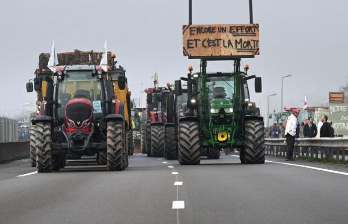 La rabbia degli agricoltori: manifestazioni, filtri… Cosa progettano gli agricoltori dell'ovest di Tolosa